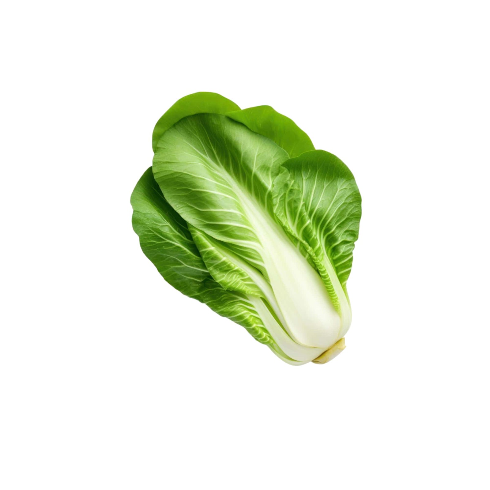 Baby Bok Choy, 1 bunch