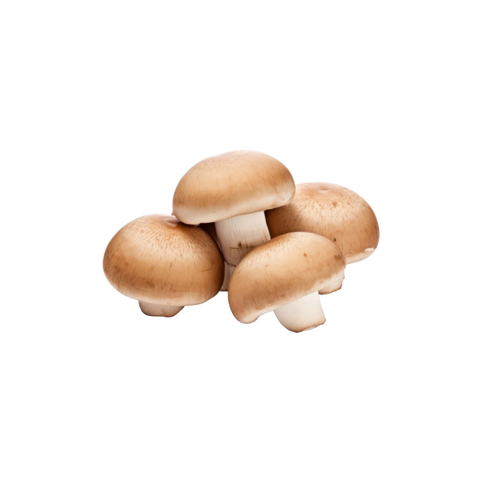 Brown Mushrooms (Cremini), 1 lb