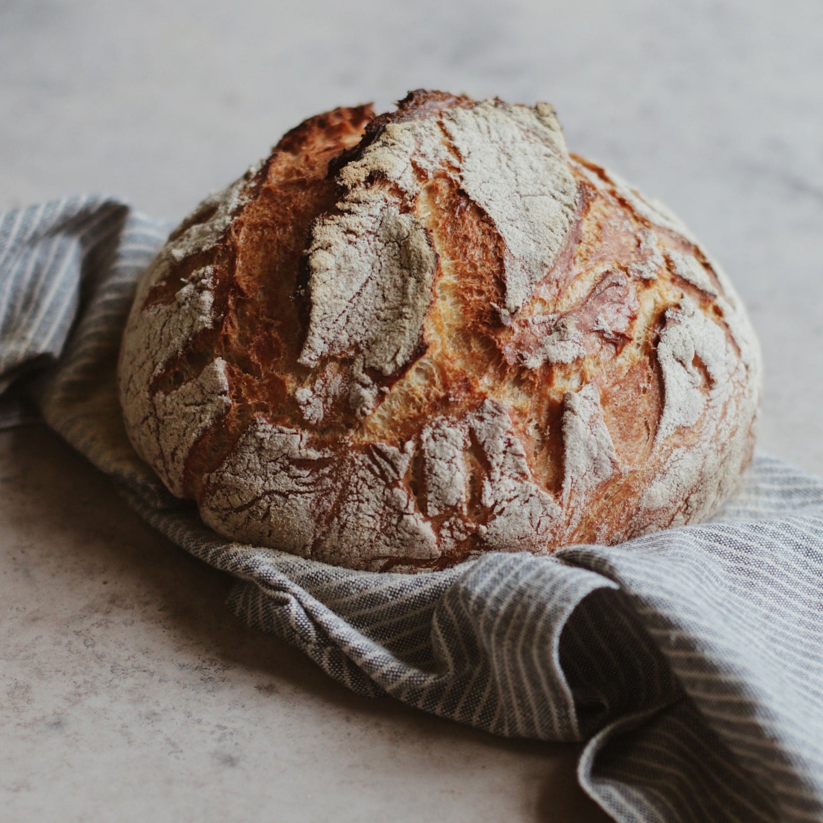 Chocolate Swirl Bread