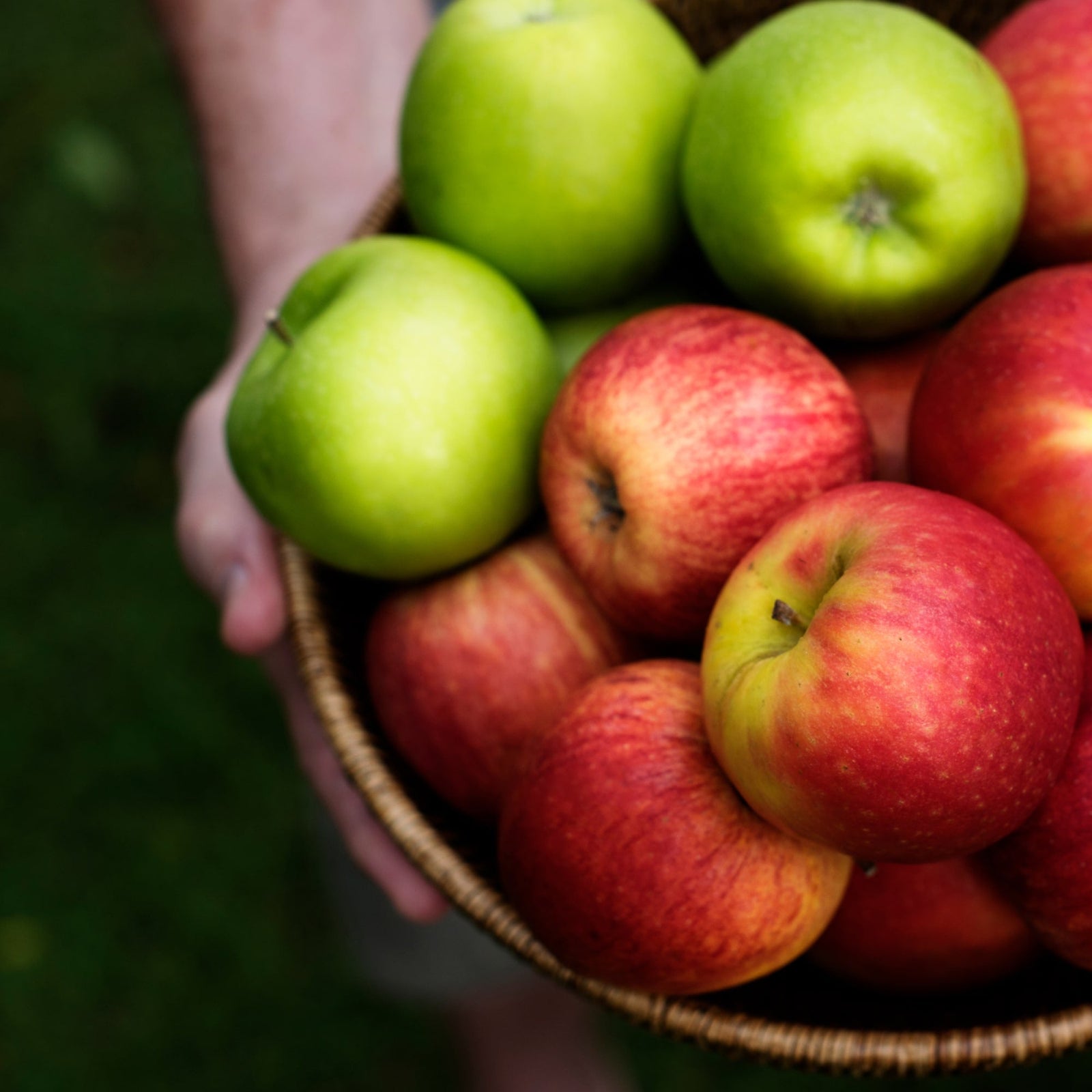 Juicy Garden Green Apples, 1 lb