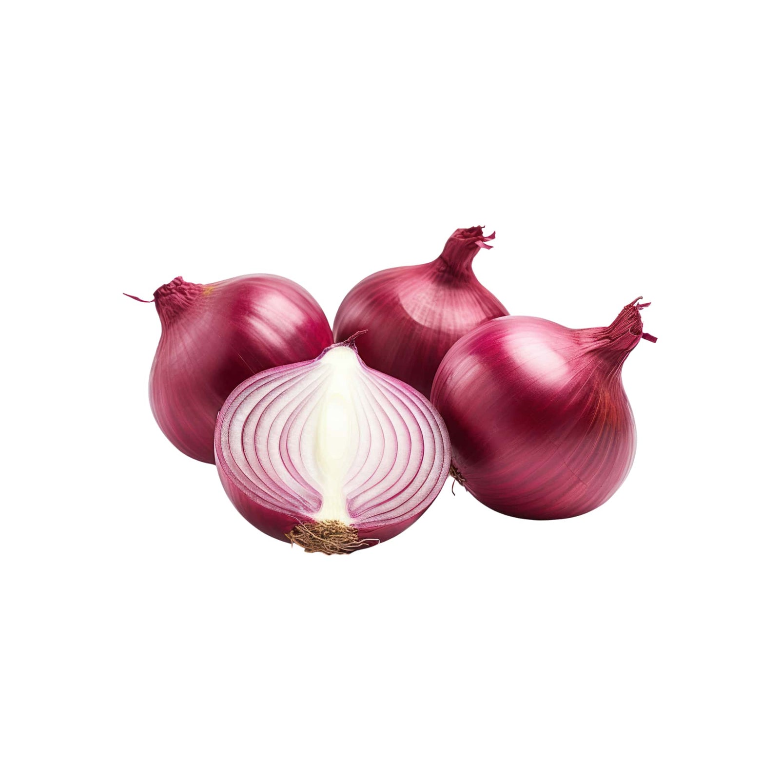 Crisp and Juicy Onion Bulbs, 1 lb