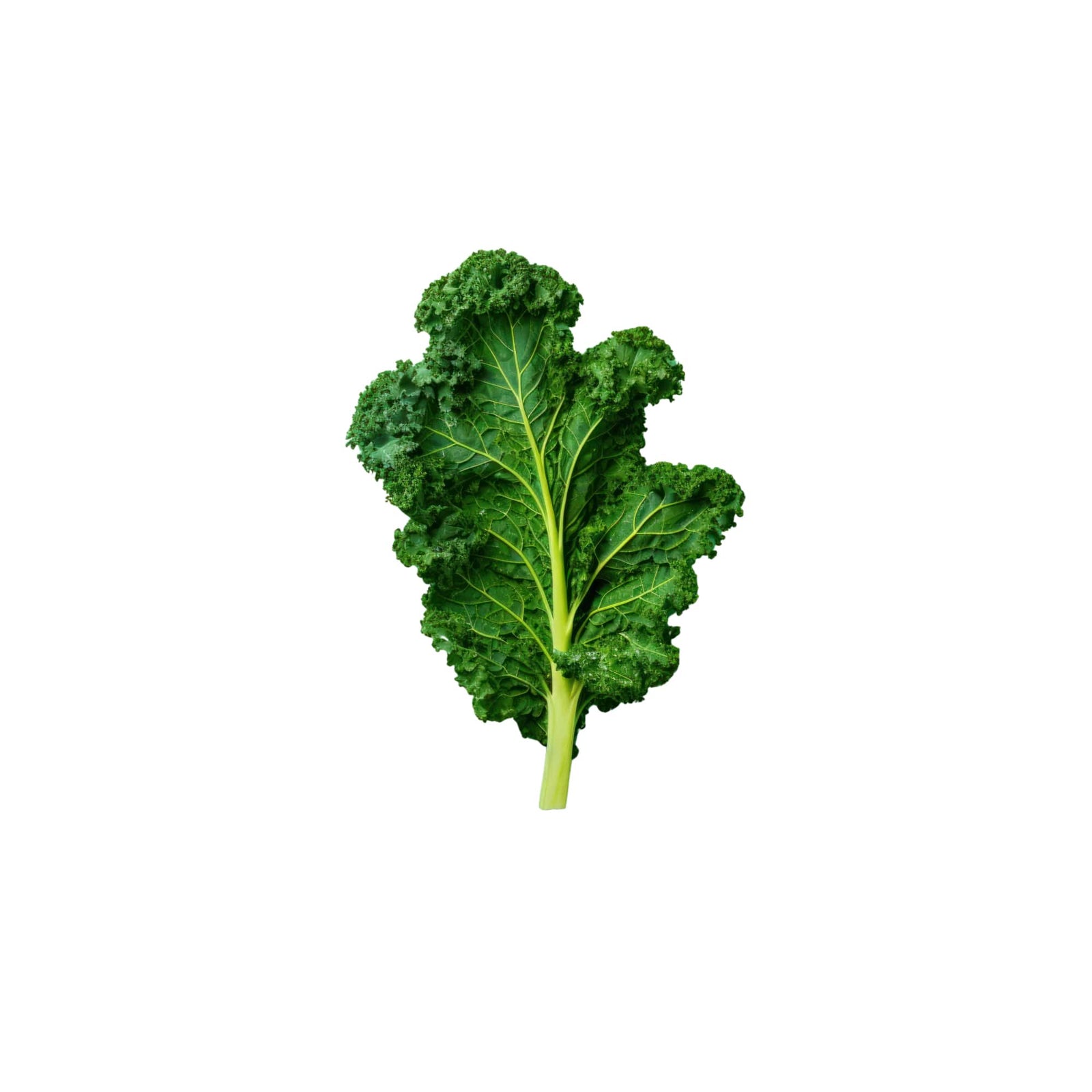 Tender Organic Kale Leaves, 1 pack